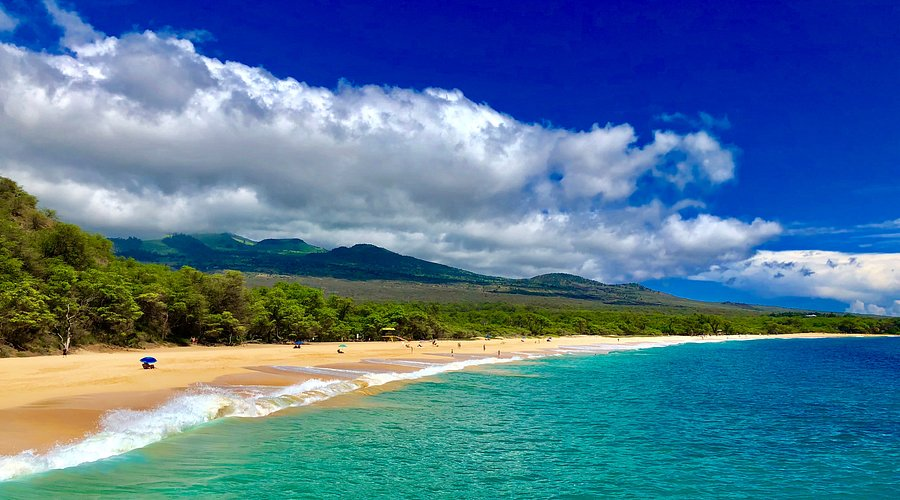beach vacations
family friendly travel